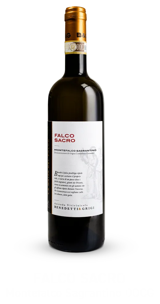 Falco Sacro