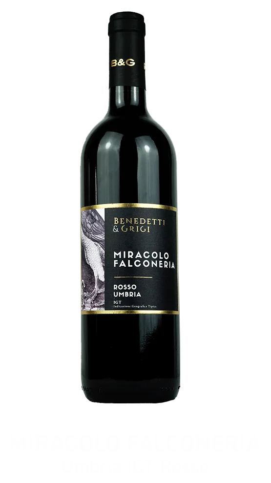 Miracolo Falconeria