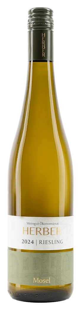 2024 Riesling Qualitätswein trocken