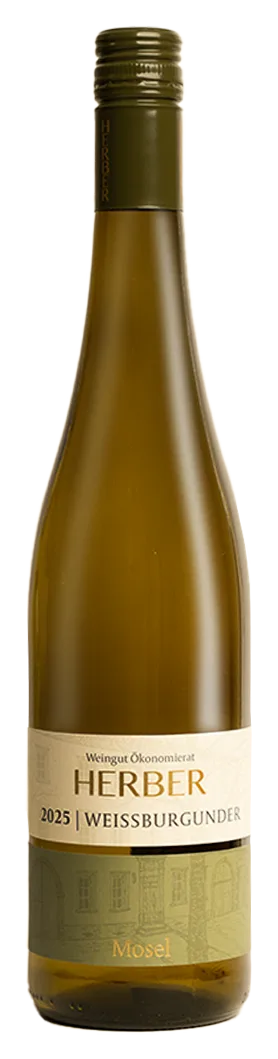 2025 Weissburgunder Qualitätswein