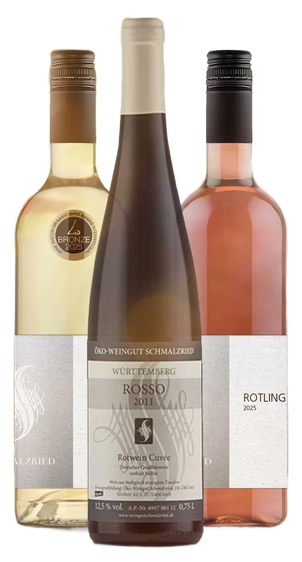 Sommerpaket 2026