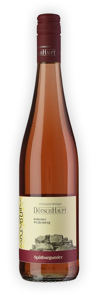 2024er Koberner Spätburgunder Rosé
