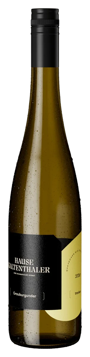Grauburgunder