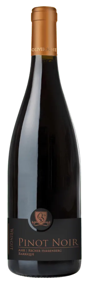 Recher Herrenberg Spätburgunder Pinot Noir Barrique