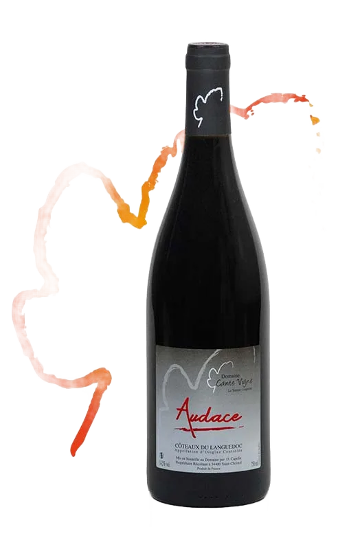 Audace