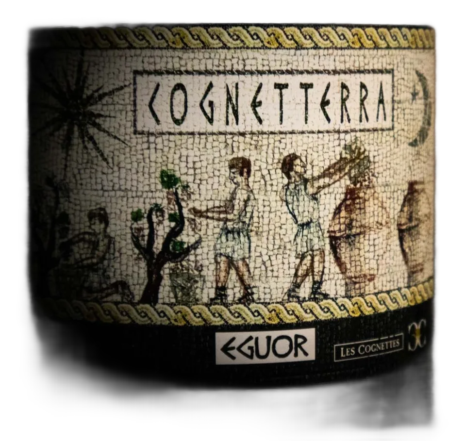 Cogneterra
