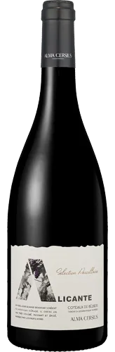 Alicante Bouschet