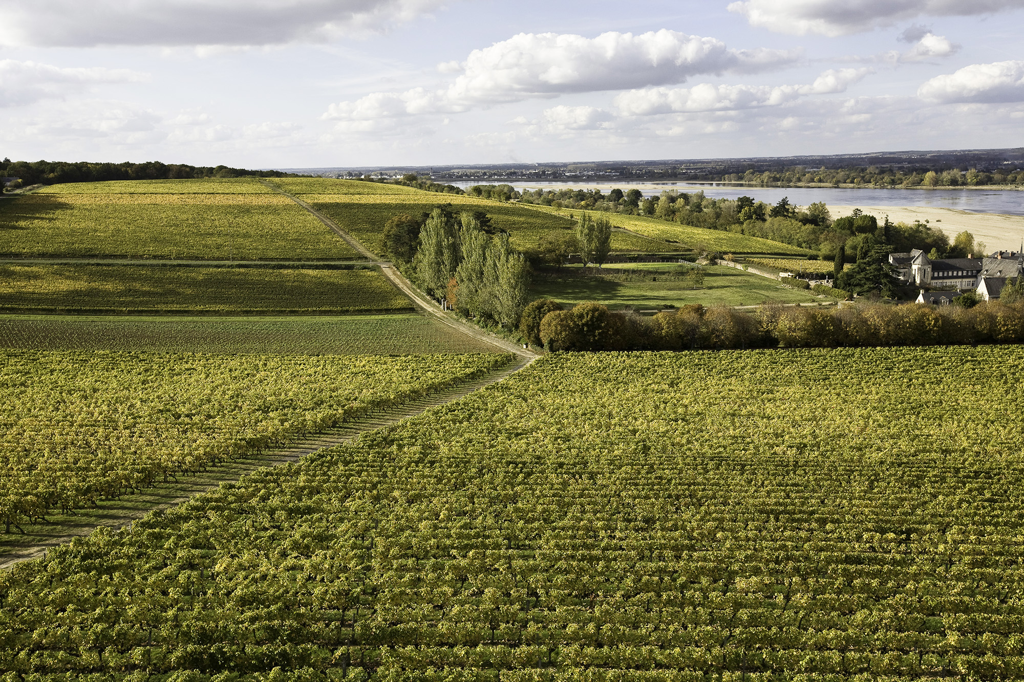 Rosé de Loire