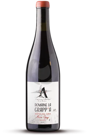 Côtes du Jura Père Guy Rouge