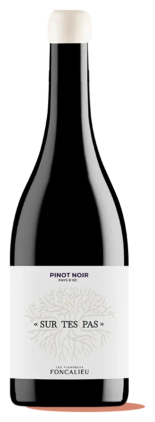 Sur Tes Pas Pinot Noir