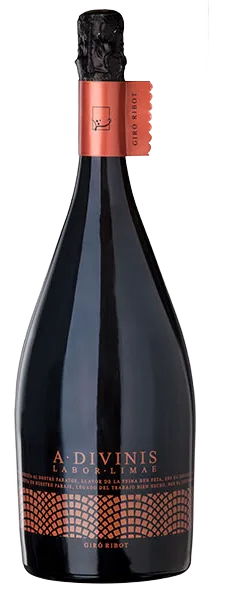A Divinis Magnum