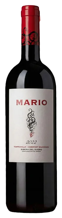 Mario