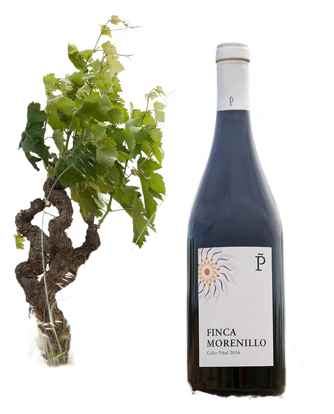 Finca Morenillo