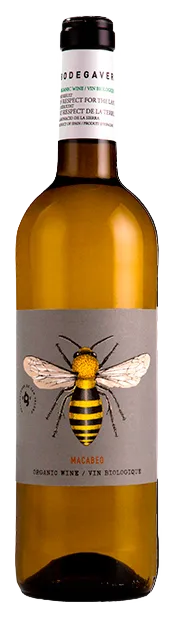 Bodega Verde Macabeo