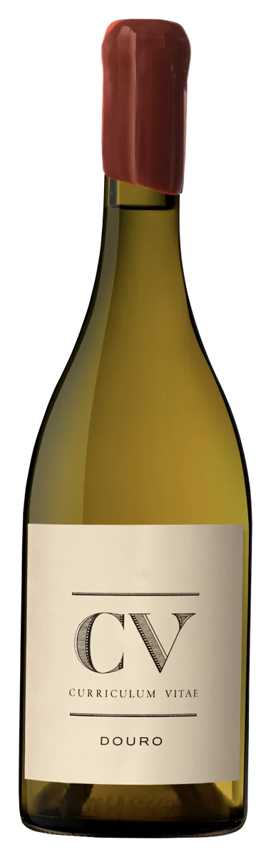 CV-Curriculum-Vitae-Douro-white