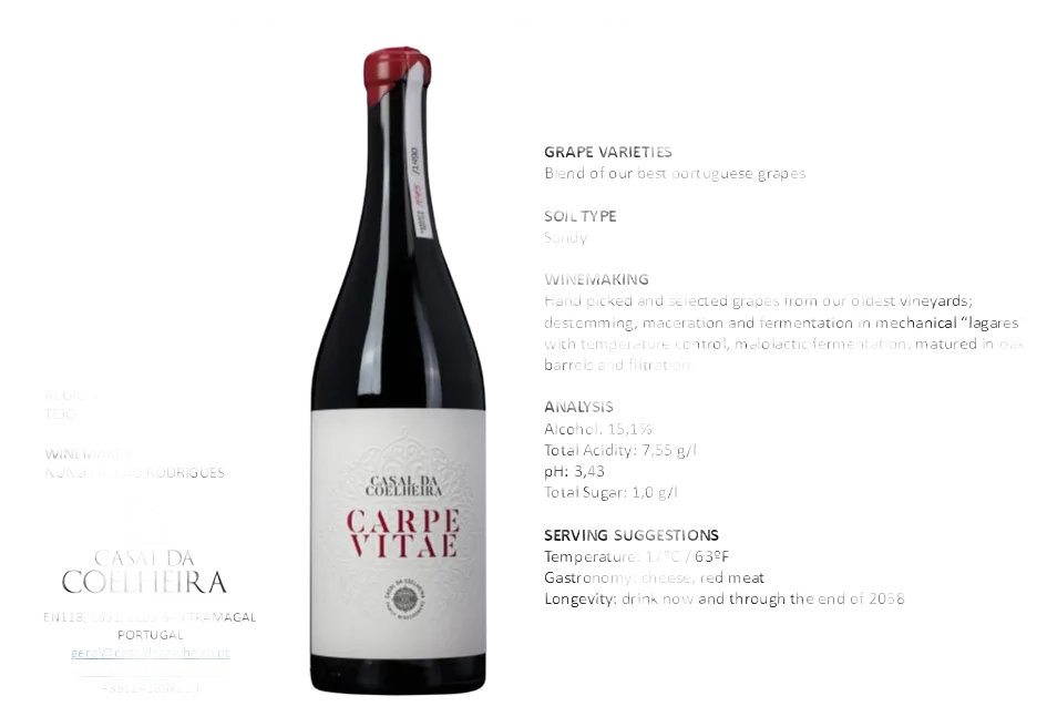 CV Tinto