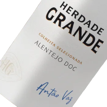HG Antão Vaz