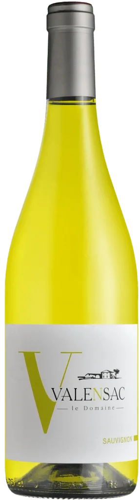 SAUVIGNON