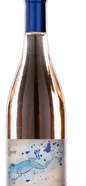 Désir Salin