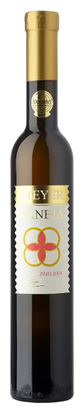 Steyer Vaneja
