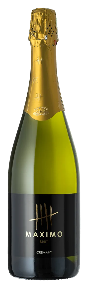 Maximo Brut