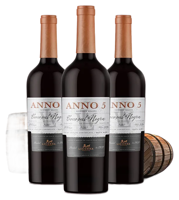 Anno 5 Cocosul Negru