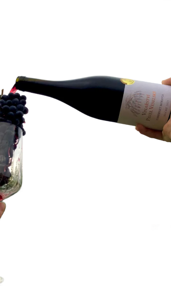 Cabernet Moravia 2021