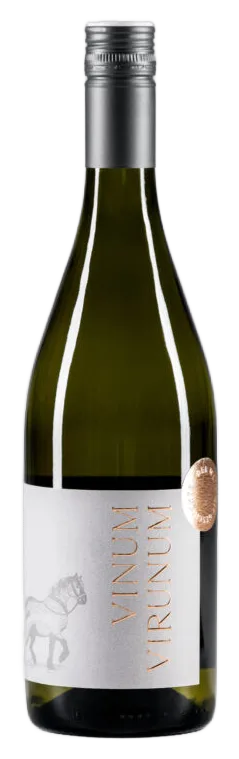 Sauvignon Blanc