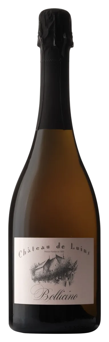 Bollicino