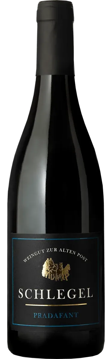 Pinot Noir Pradafant