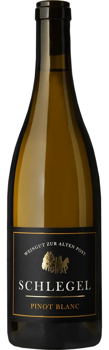 Pinot Blanc