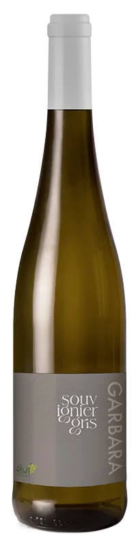 Souvignier Gris Garbara