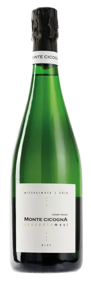 60 Mesi Brut