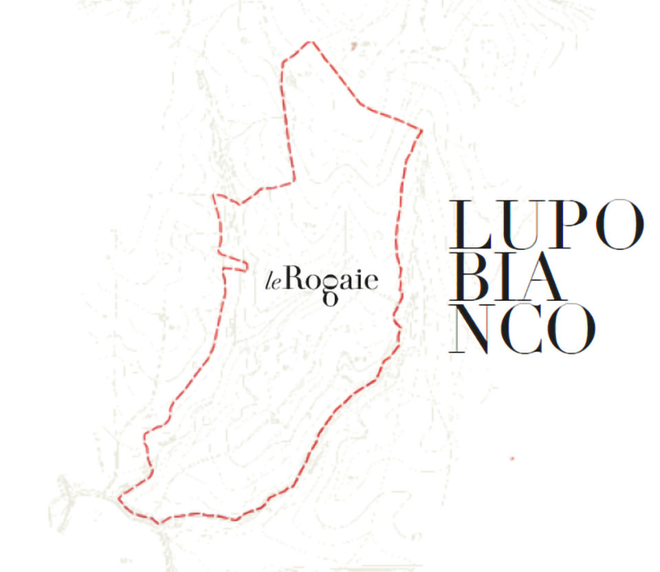 Lupo Bianco
