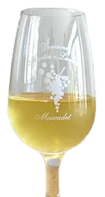 Muscadet