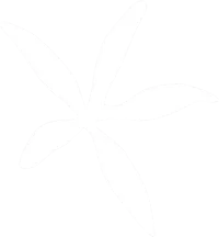 Fleur de Vanille