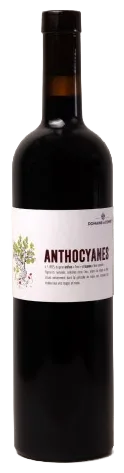 Bergerac rouge “ANTHOCYANES”
