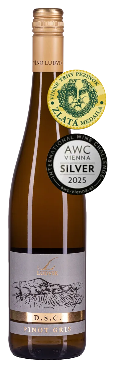 PINOT GRIS 2024. Suché