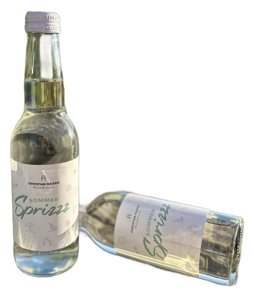Sommer Sprizzz 12er