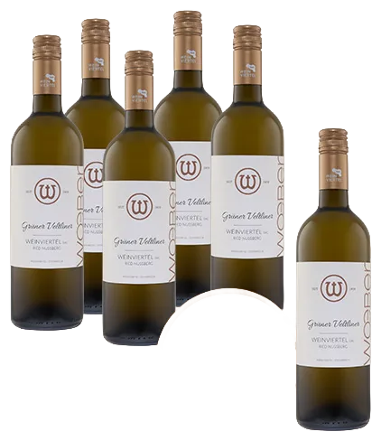 Weinviertel DAC Grüner Veltliner ‚Ried Nussberg’Waitzendorf 2025 AKTION 5 +1