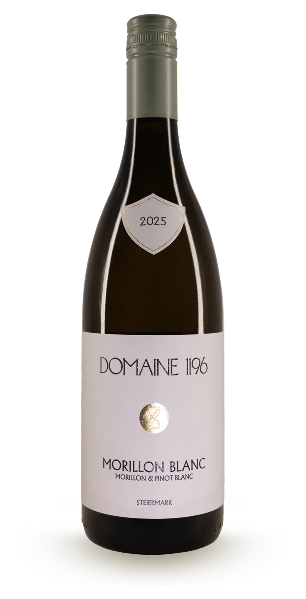 Morillon Blanc 2025