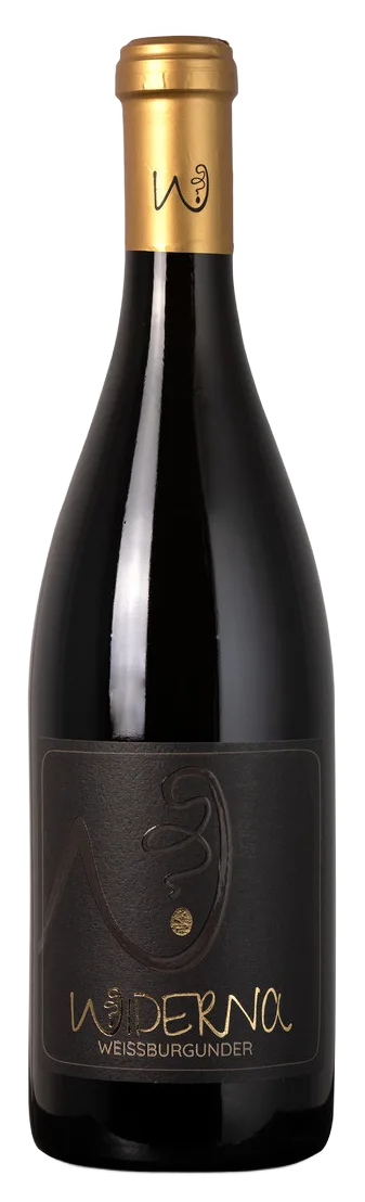 Zweigelt Reserve 2023 Bio