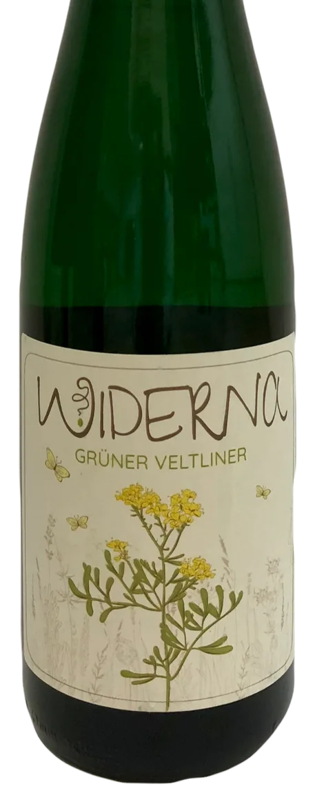 Grüner Veltliner Manhartsberg DAC 2024 Bio