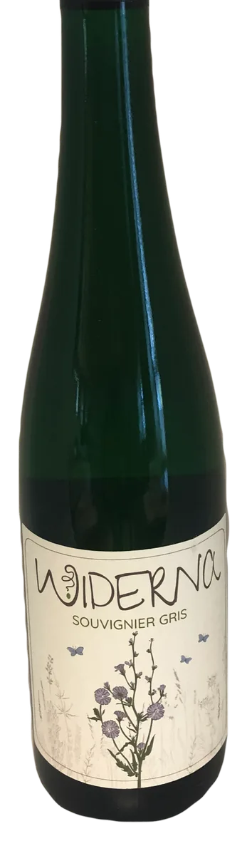 Souvignier Gris 2024 Bio