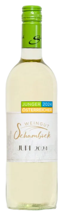 JUPI 2025