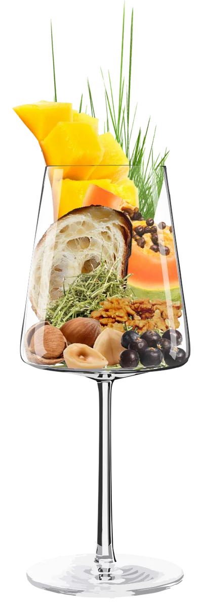 CHARDONNAY SELEKTION 2025