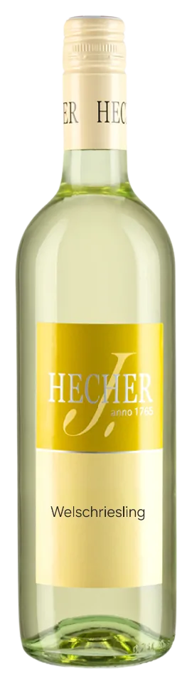 Welsch­riesling 2025