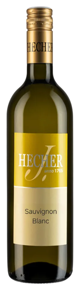 Sauvig­non Blanc 2025
