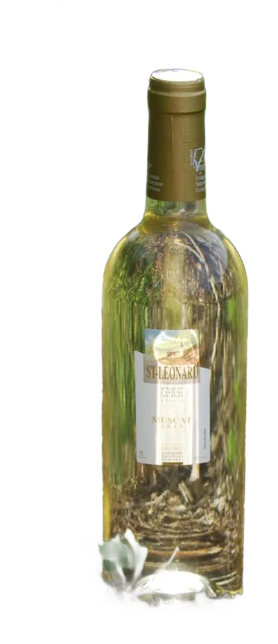 Muscat de Saint-Léonard 2025