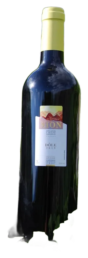 Dôle de Sion 2025